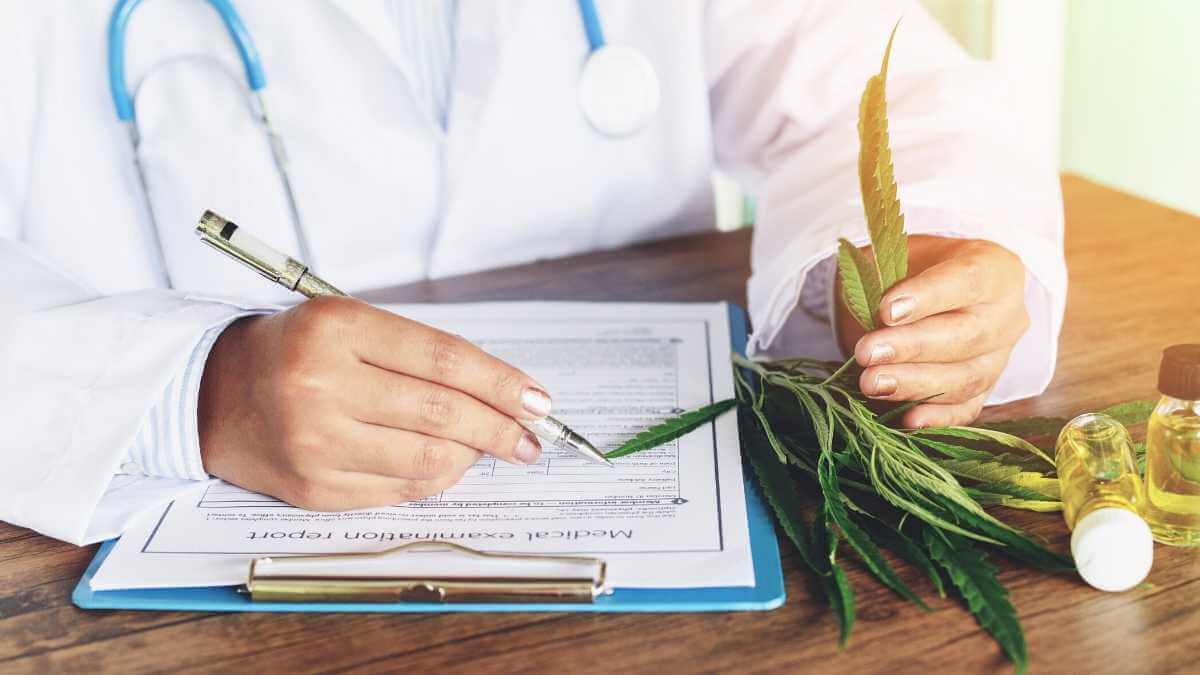Top 5 Best medical marijuana doctors in Florida (2020)