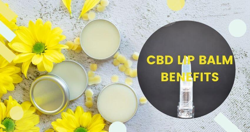 Top CBD Lip Balm Benefits that will change your life