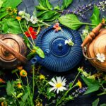 Harmonizing Health: Embracing the Healing Power of Medicinal Herbs