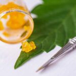 Live Resin: A Comprehensive Guide to This Potent Cannabis Concentrate